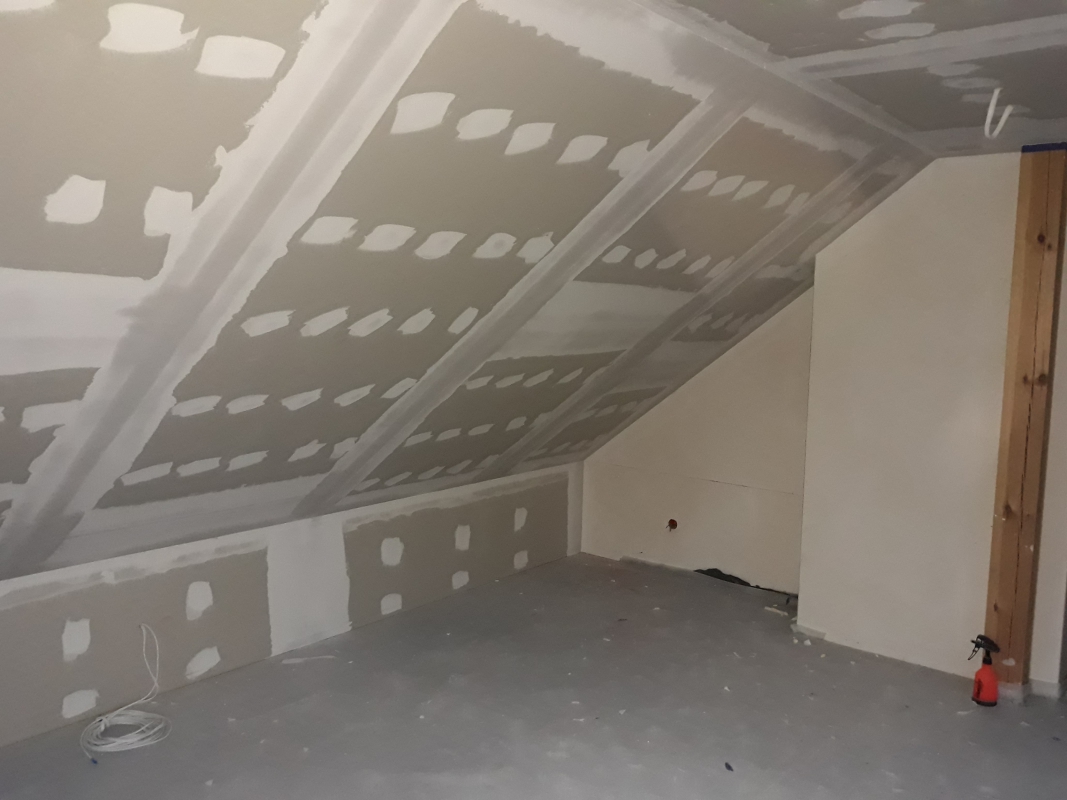 Zdjęcie do wpisu: Ariel :)